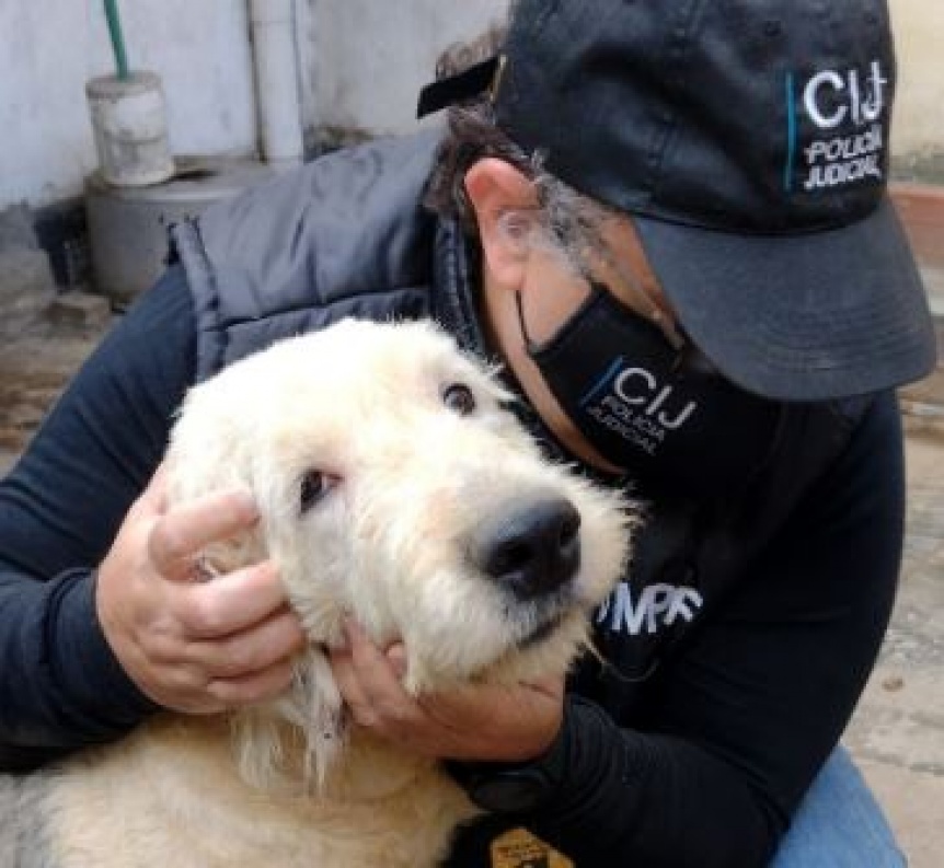 Clausuran un criadero ilegal de perros que se encontraba en psimas condiciones sanitarias