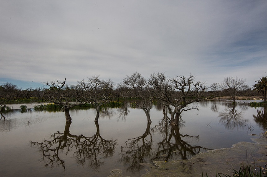 Presentan investigacin internacional sobre el patrimonio ecolgico de la ribera de Avellaneda y Quilmes