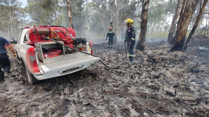 Feroz incendio en la Reserva de Berazategui