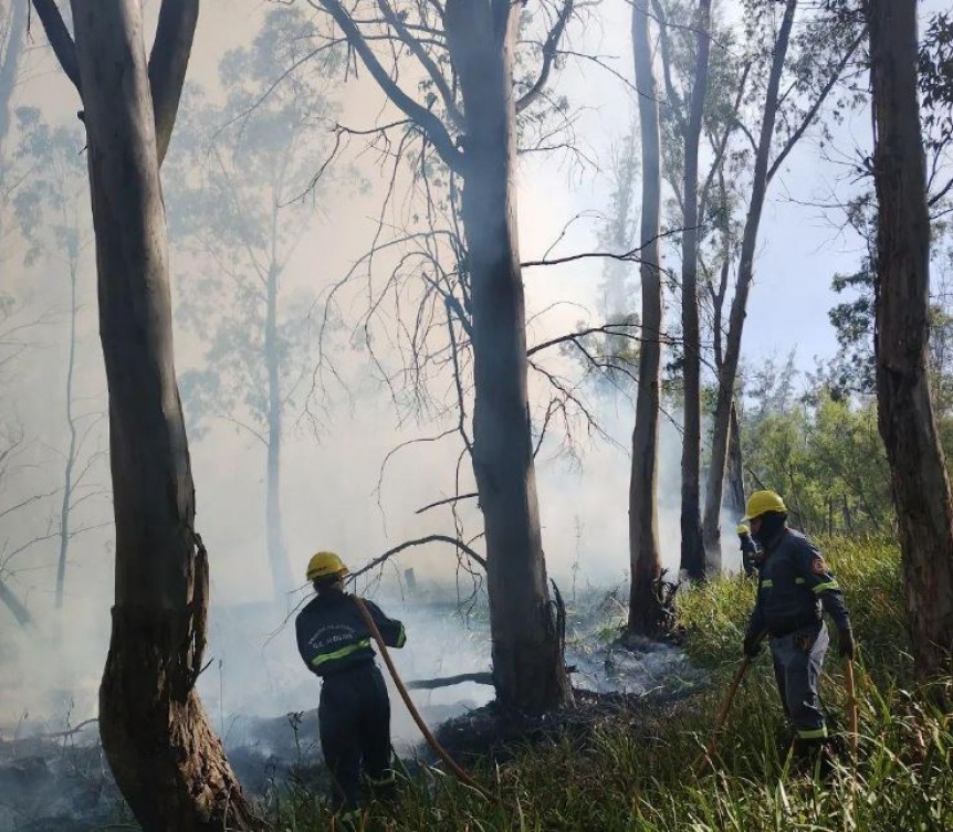 VIDEO | Contina el incendio en la Reserva Forestal y el humo afecta a todo Ezpeleta