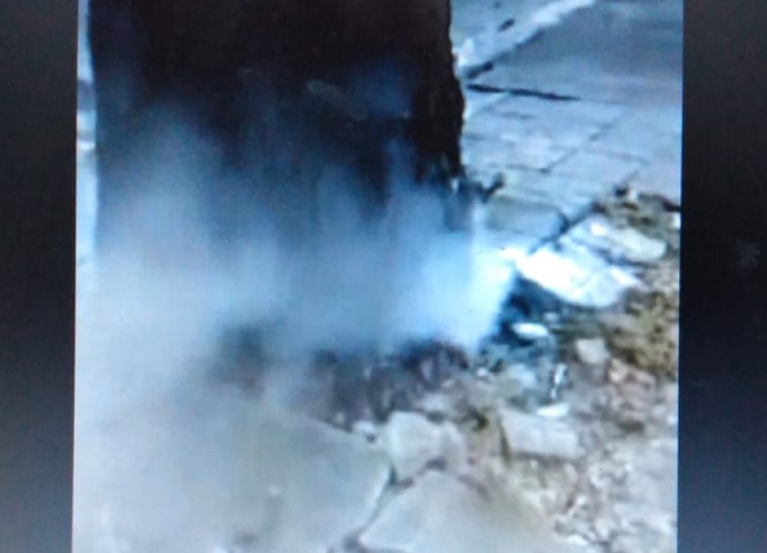 Inslito: En La Plata sale humo de las races de un rbol