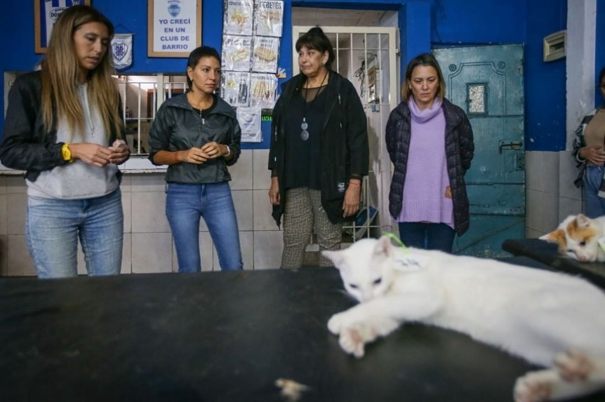 Mayra Mendoza en un nuevo megaoperativo de castracin y vacunacin de animales