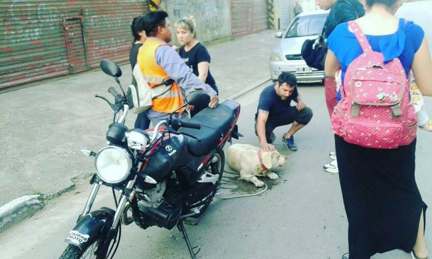 Video | Arrastr al perro en su moto y los vecinos lograron detenerlo