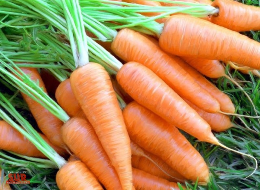 Siete razones para comer zanahorias