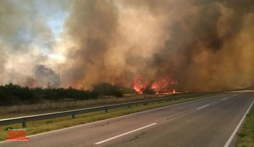 Preocupacin en La Pampa por el avance de los incendios forestales
