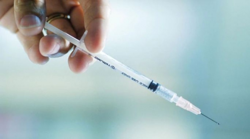 Argentina producir una vacuna para combatir la fiebre amarilla
