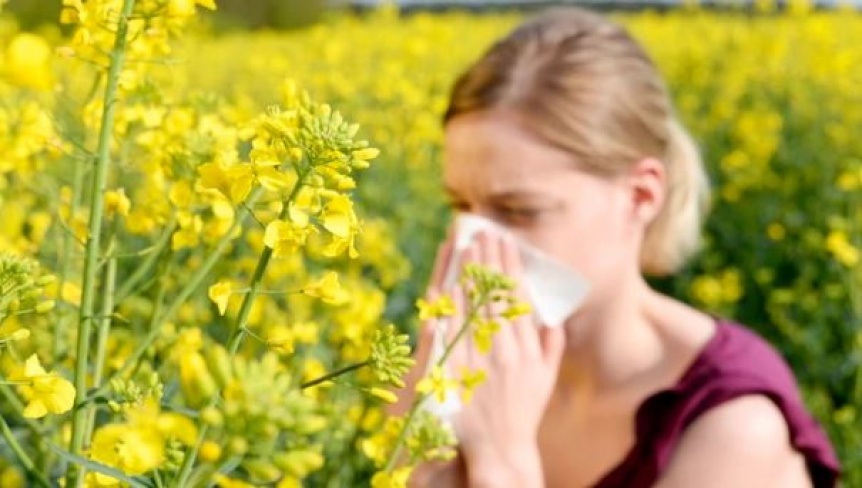 Aumentan los casos de alergia y podra ser por higiene excesiva