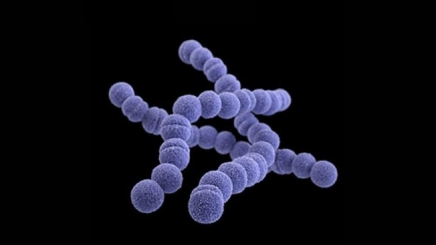Streptococcus pyogenes: Medidas preventivas y recomendaciones