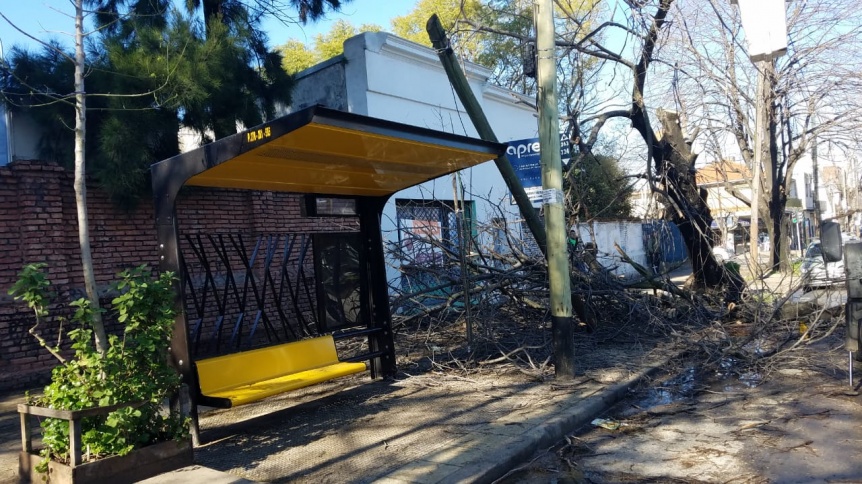 rboles y postes cados en Quilmes por el temporal
