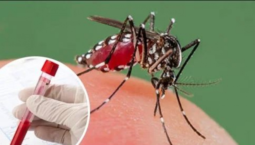 Confirman que el dengue se puede contagiar por va sexual