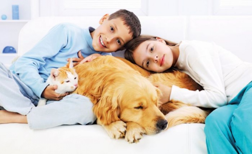 Mascotas: Los beneficios del vnculo con los chicos