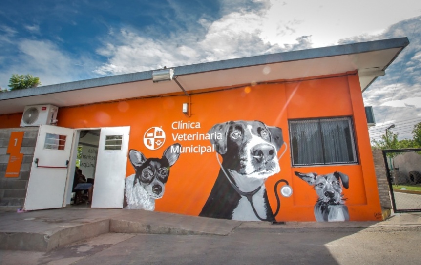 La Clnica Veterinaria refuerza las acciones de castracin y vacunacin gratuitas